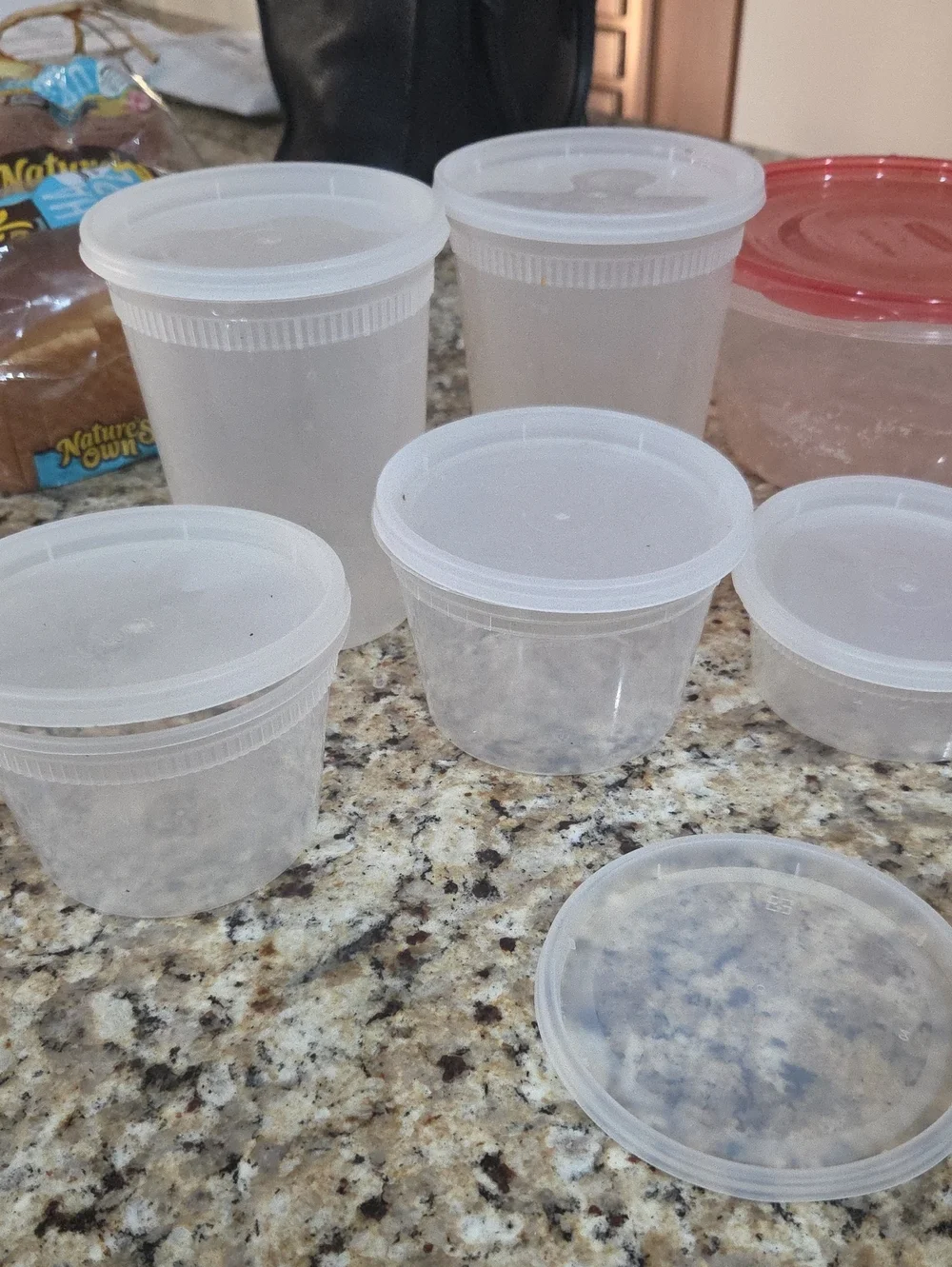 Clear Plastic Food Storage Containers with Red and White Lids - Multipack